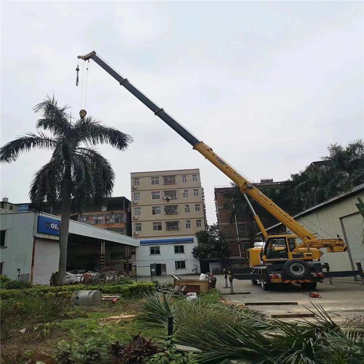 横栏镇汽车吊出租多少钱？全面解析与市场行情